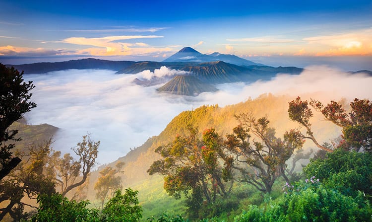Bromo vulkaan