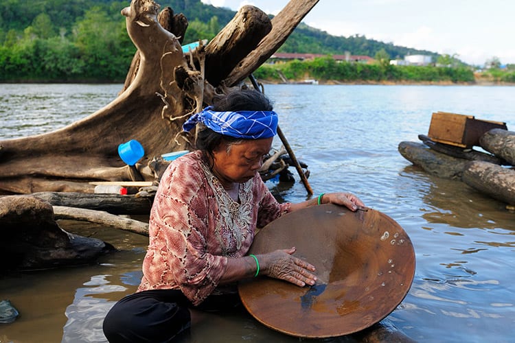 Dayak cultuur