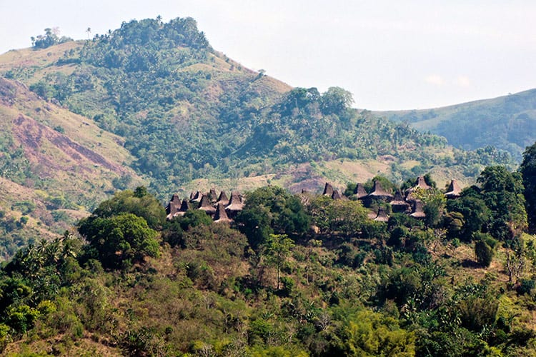 Traditioneel dorp op Sumba