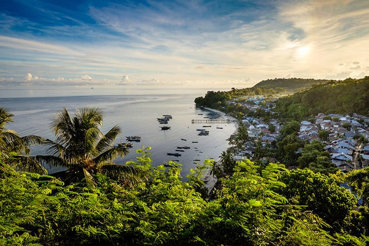 Pulau Run