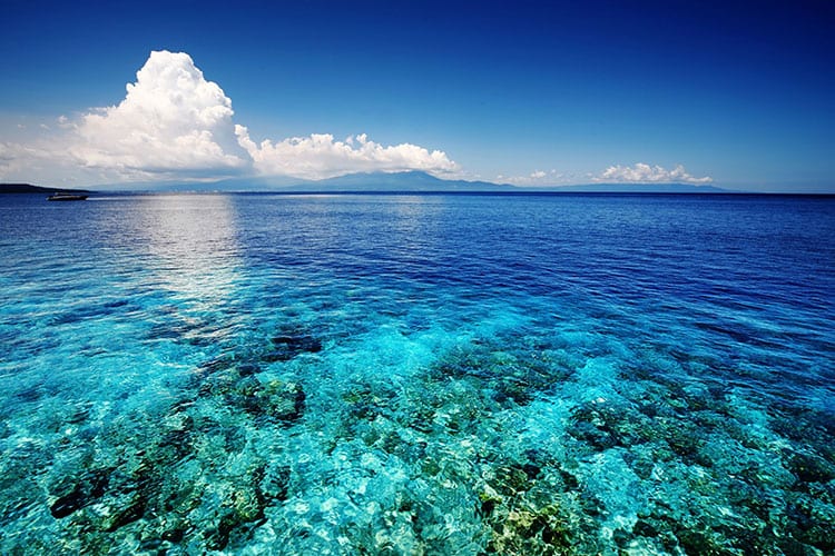 Koraalrif in het Bunaken National Park