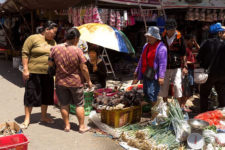 De macabere markt van Tomohon