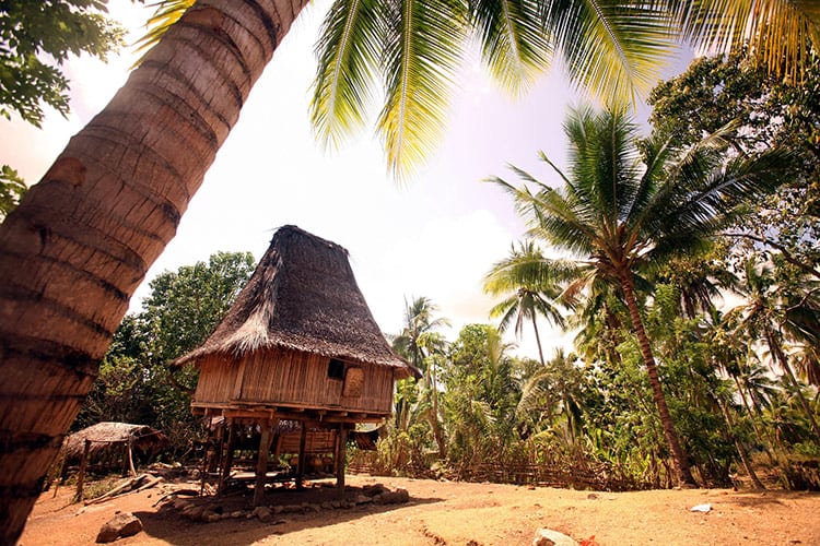 Timor