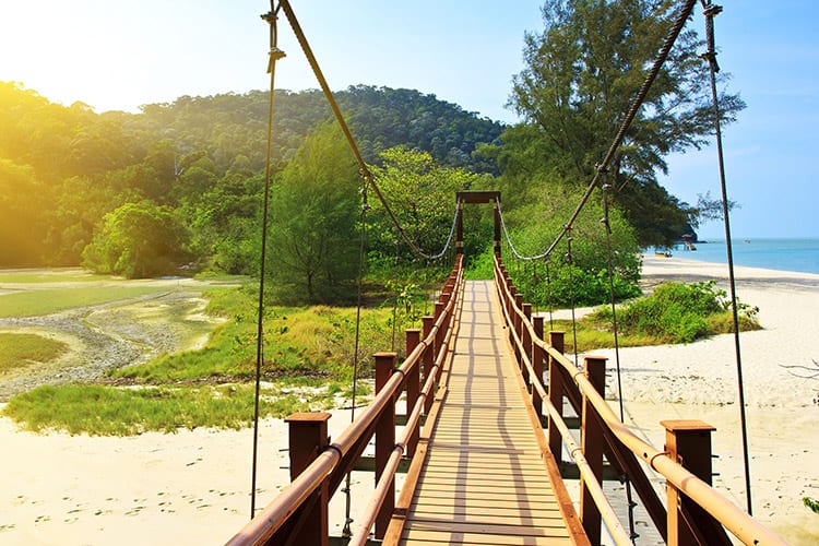 Penang National Park