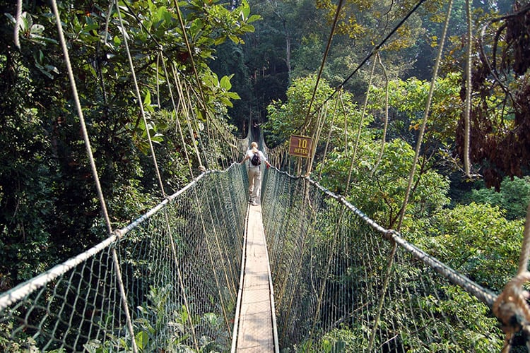 Taman Negara National Park