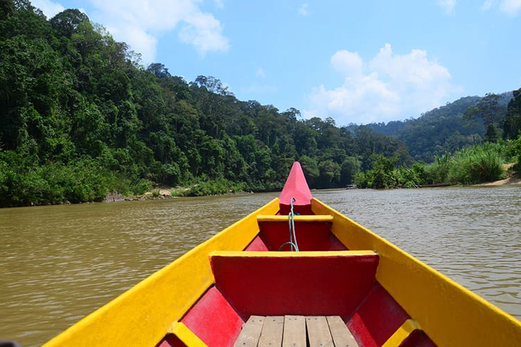 Taman Negara