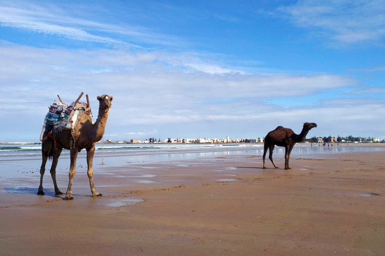 Strand bij Essaouira