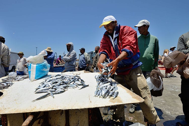 De vismarkt in Essaouira