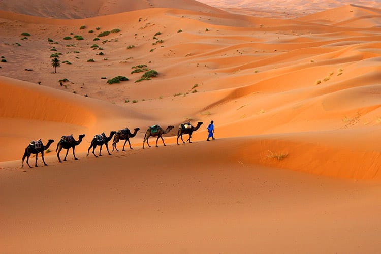 Erg Chebbi