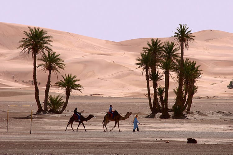 Sahara