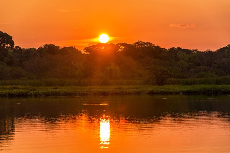 Madidi National Park