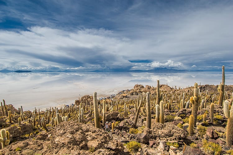 Het eiland Incahuasi in Salar de Uyuni