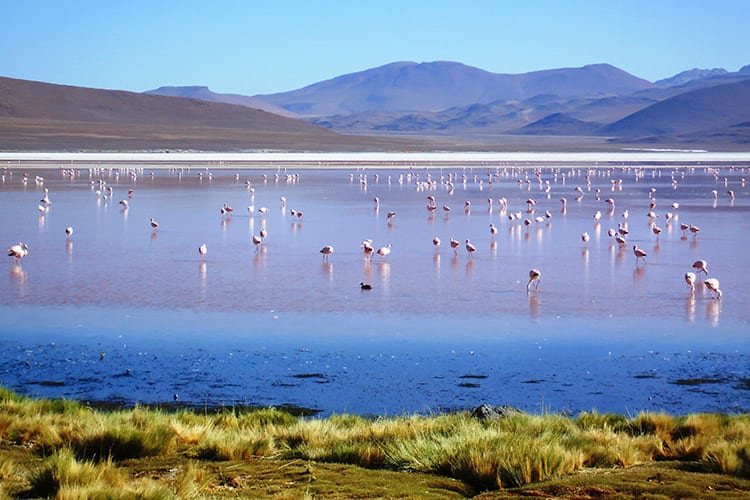 Lago Verde