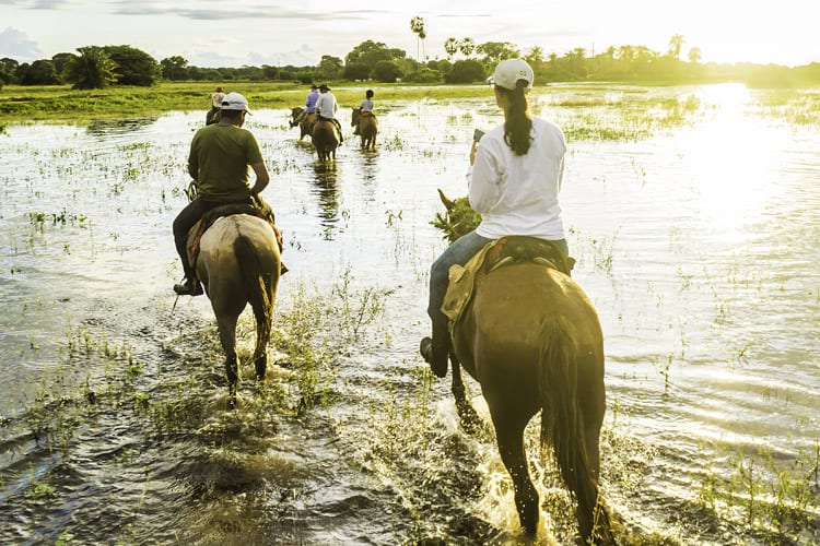 Pantanal