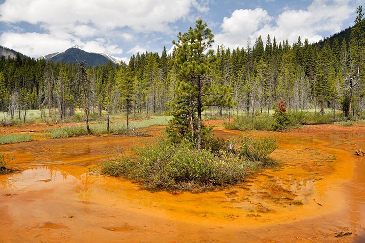 Paint Pots in het Kootenay National Park