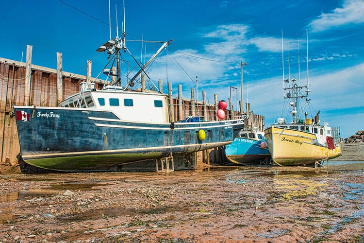 Bay of Fundy