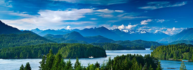 Tofino
