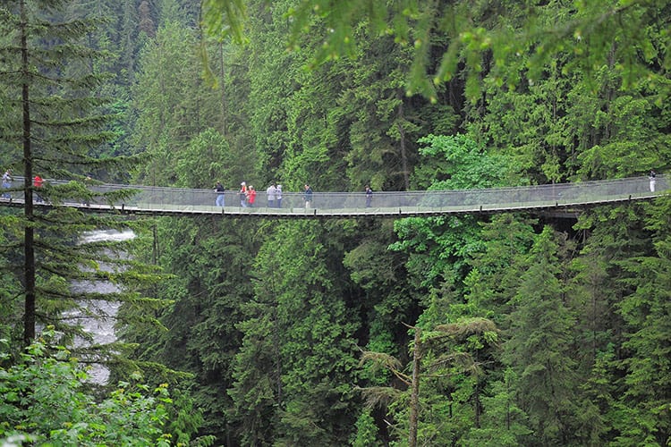 Capilano Suspension Bridge