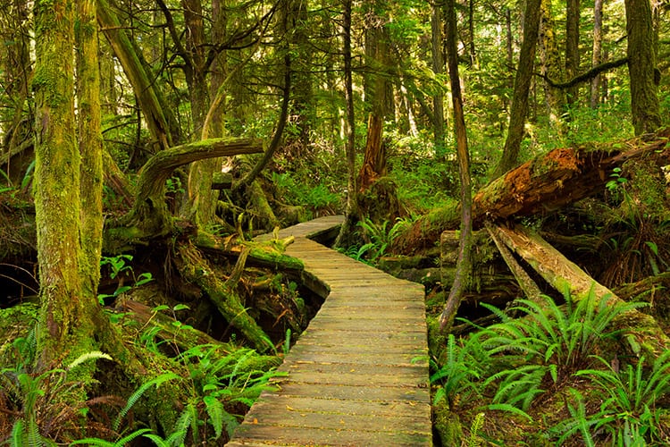 Pacific Rim National Park