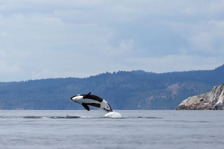 Vancouver Island