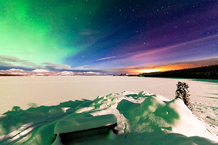 Whitehorse