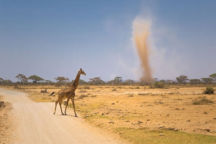 Amboseli National Park