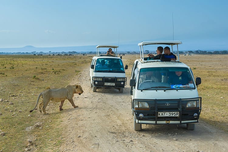 Amboseli National Park safari
