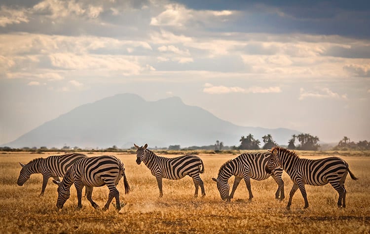 Amboseli National Park