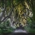 Dark Hedges, Noord-Ierland