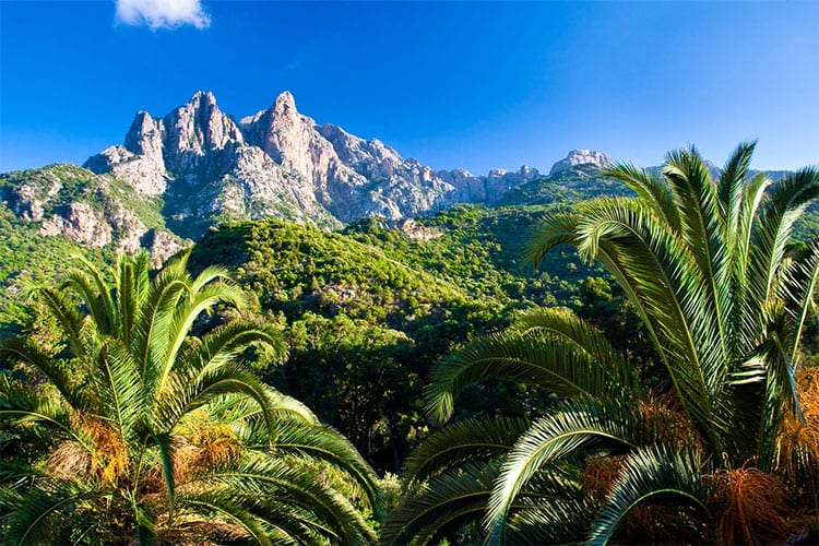 Corsica