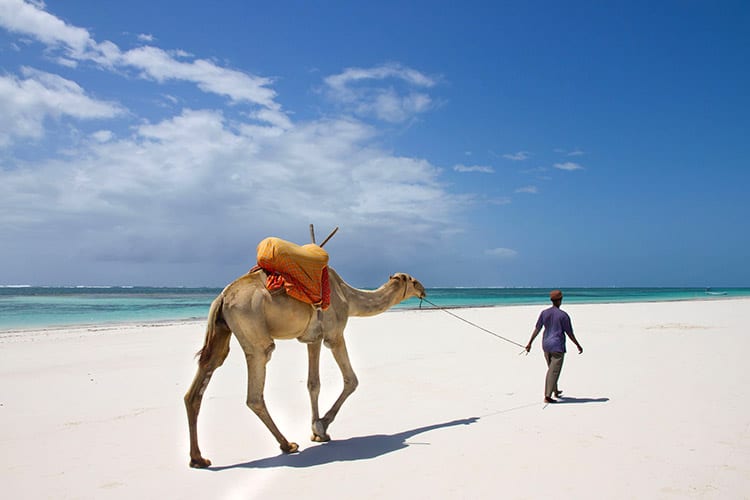 Diani Beach