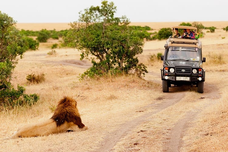 Masai Mara safari