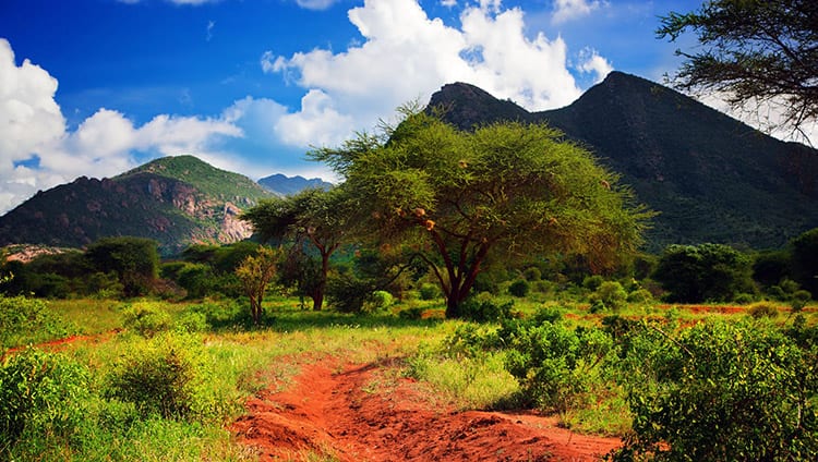 Tsavo West