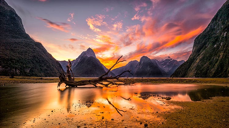 Milford Sound