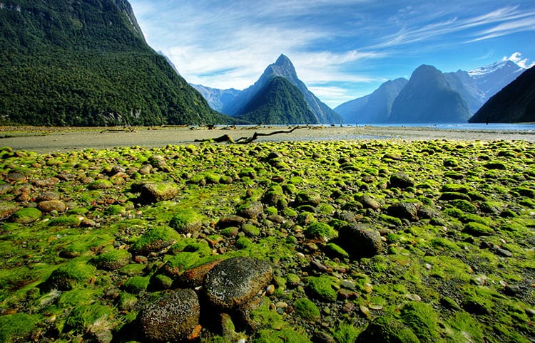 Milford Sound