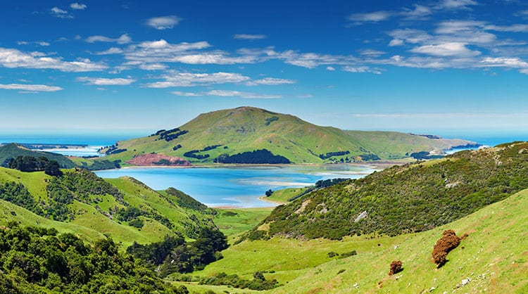 Het Otago Schiereiland