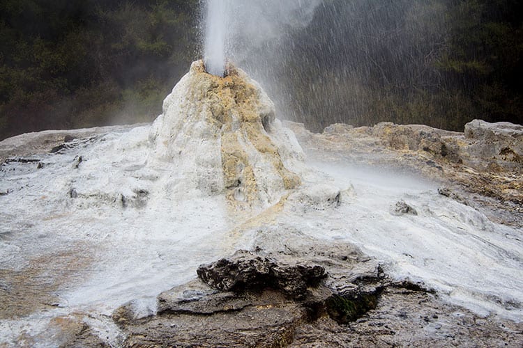 Lady Knox Geyser