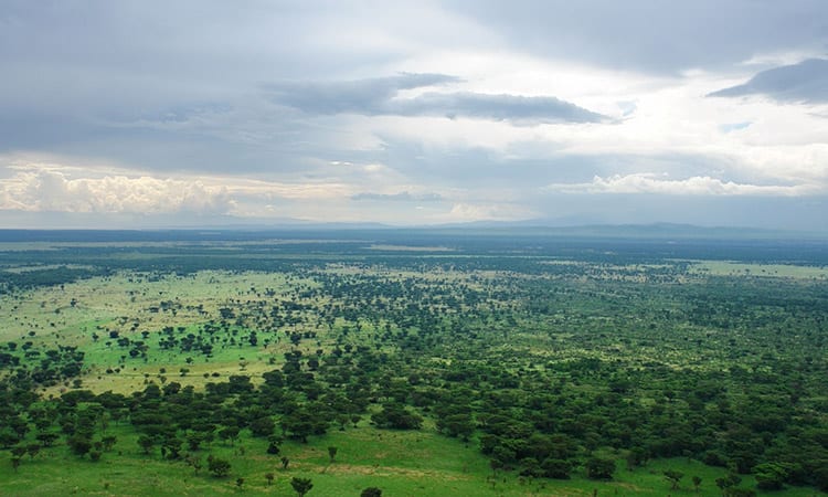 Bwindi Impenetrable National Park