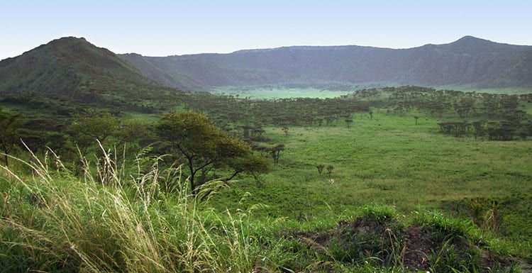 Queen Elizabeth National Park