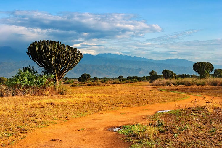 Queen Elizabeth National Park