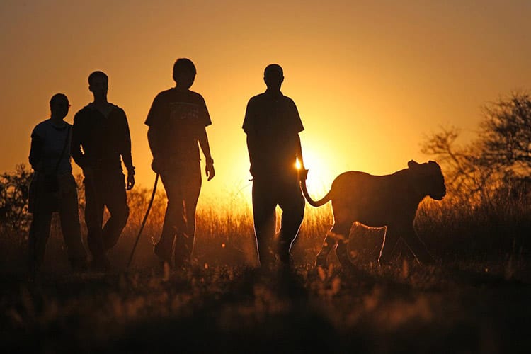 Antelope Park