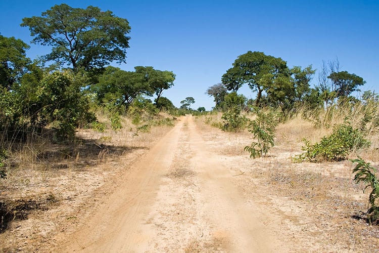 Hwange National Park safari