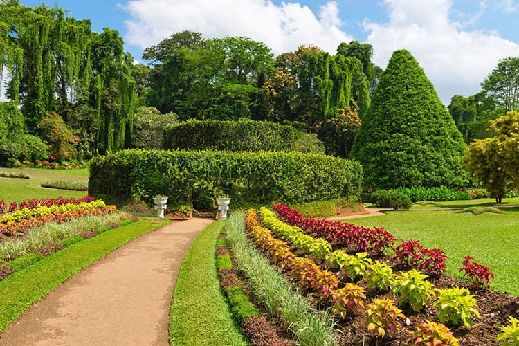 Royal Botanic Garden, Kandy