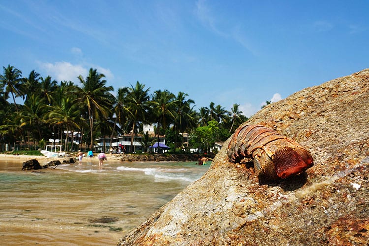Mirissa