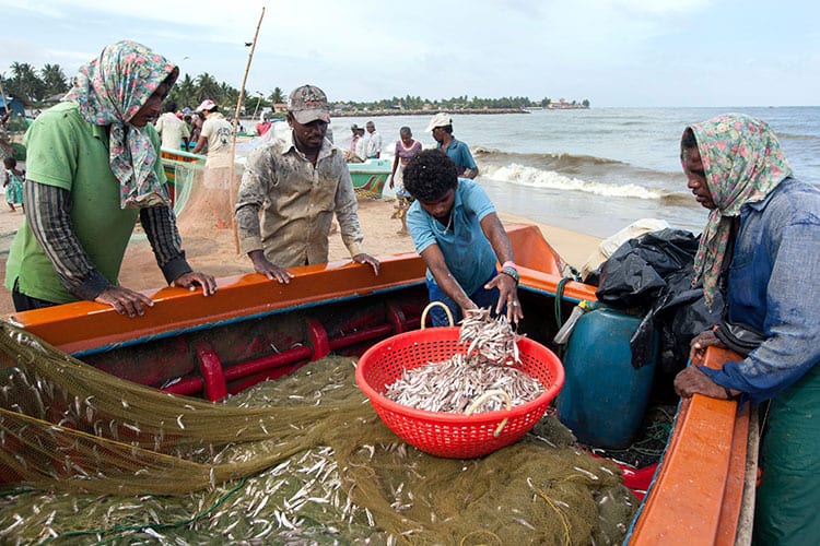 Vismarkt van Negombo