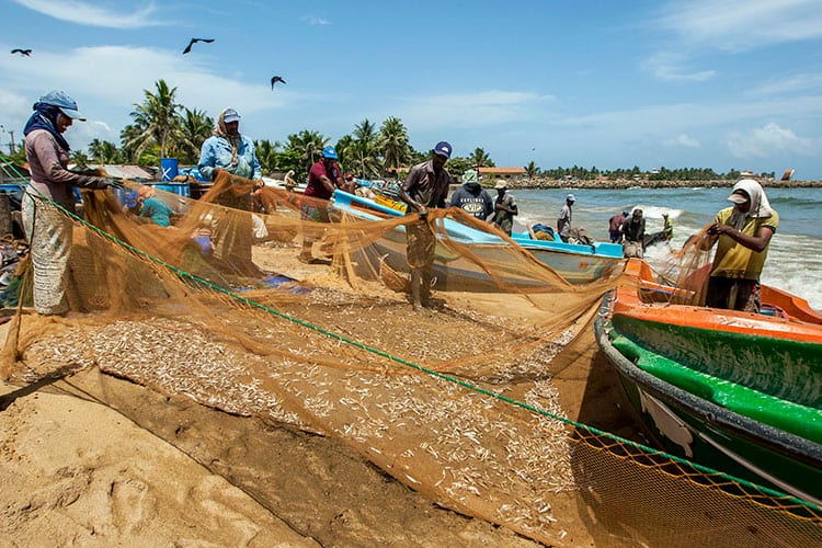Vismarkt van Negombo