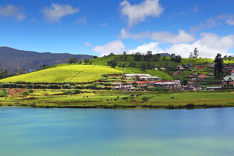 Gregory meer vlakbij Nuwara Eliya