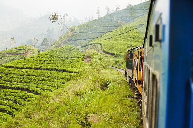 Treinreis van Ella naar Kandy