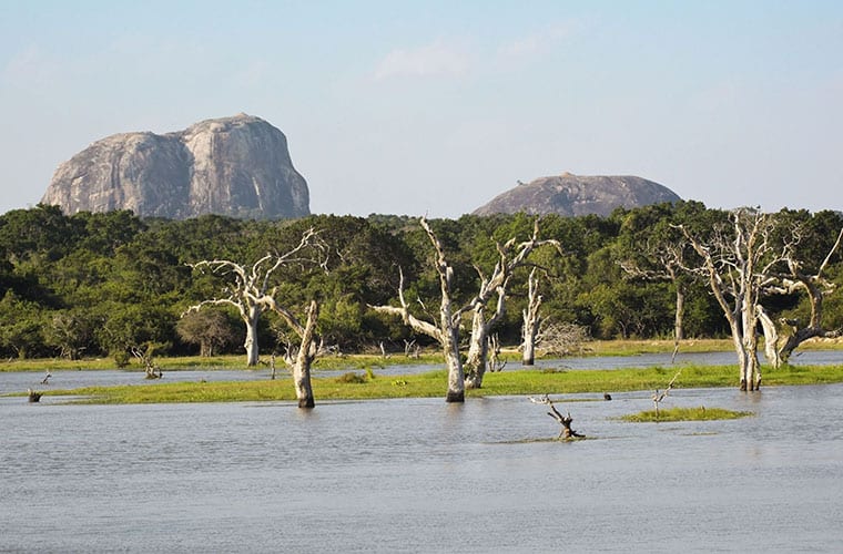 Yala National Park Elephant Rock
