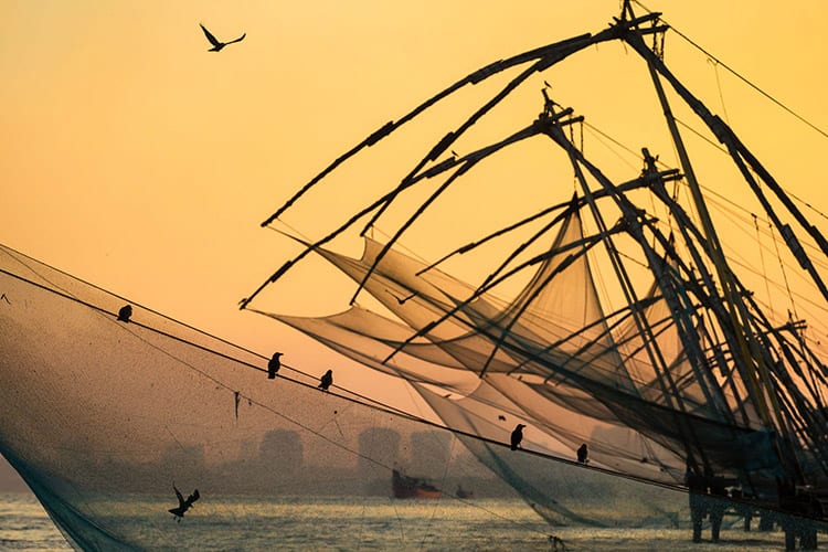 Kochi